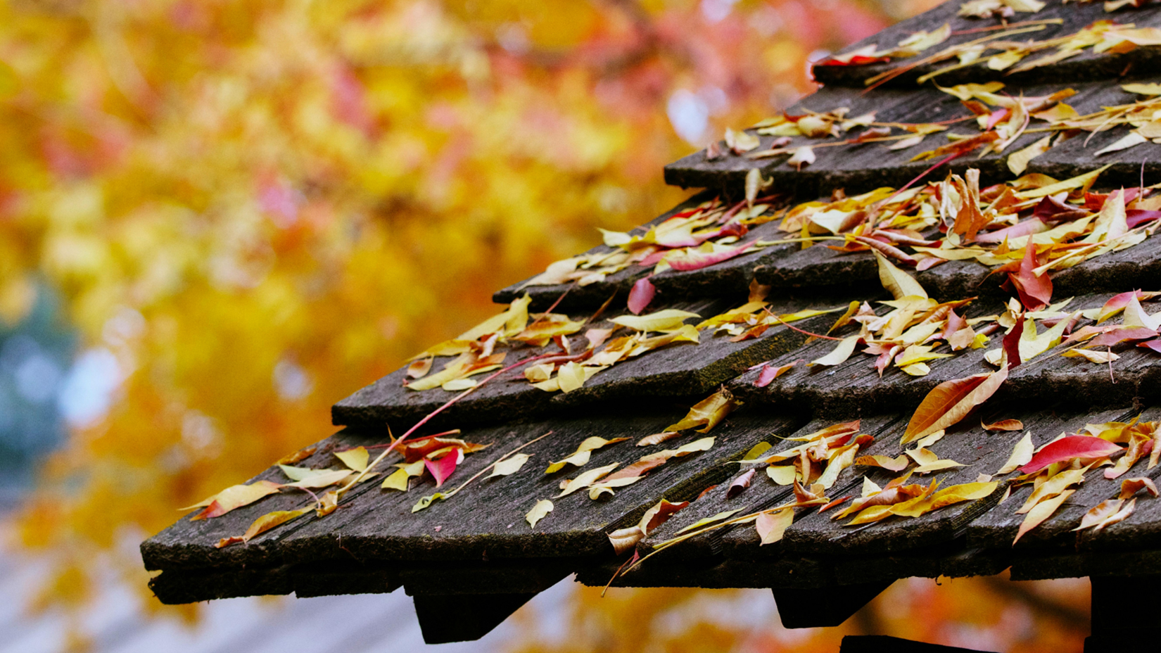 Roofing Business in Lawrence