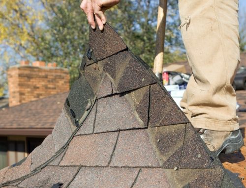 What Ruins Asphalt Shingles Faster Than You Think?